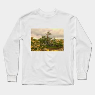 A natural Patagonian bonsai Long Sleeve T-Shirt